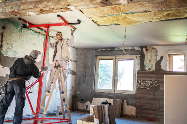 Insulation Repair Services in Leadville, CO