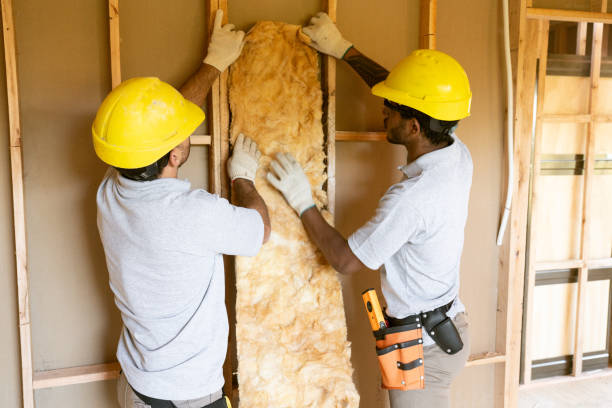 Best Insulation Contractors for Homes  in Leadville, CO